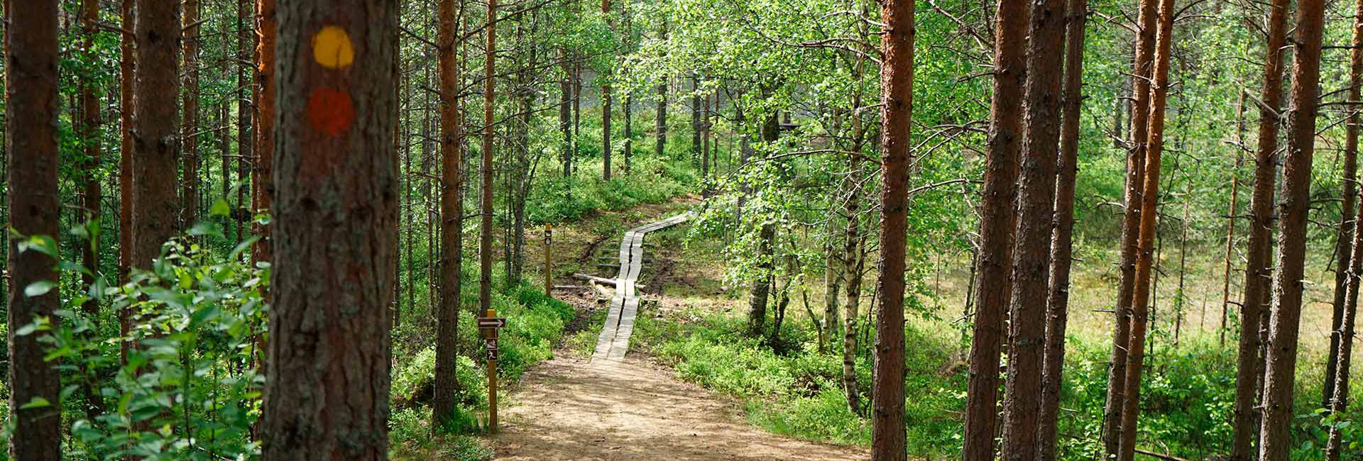 Kontionpolut